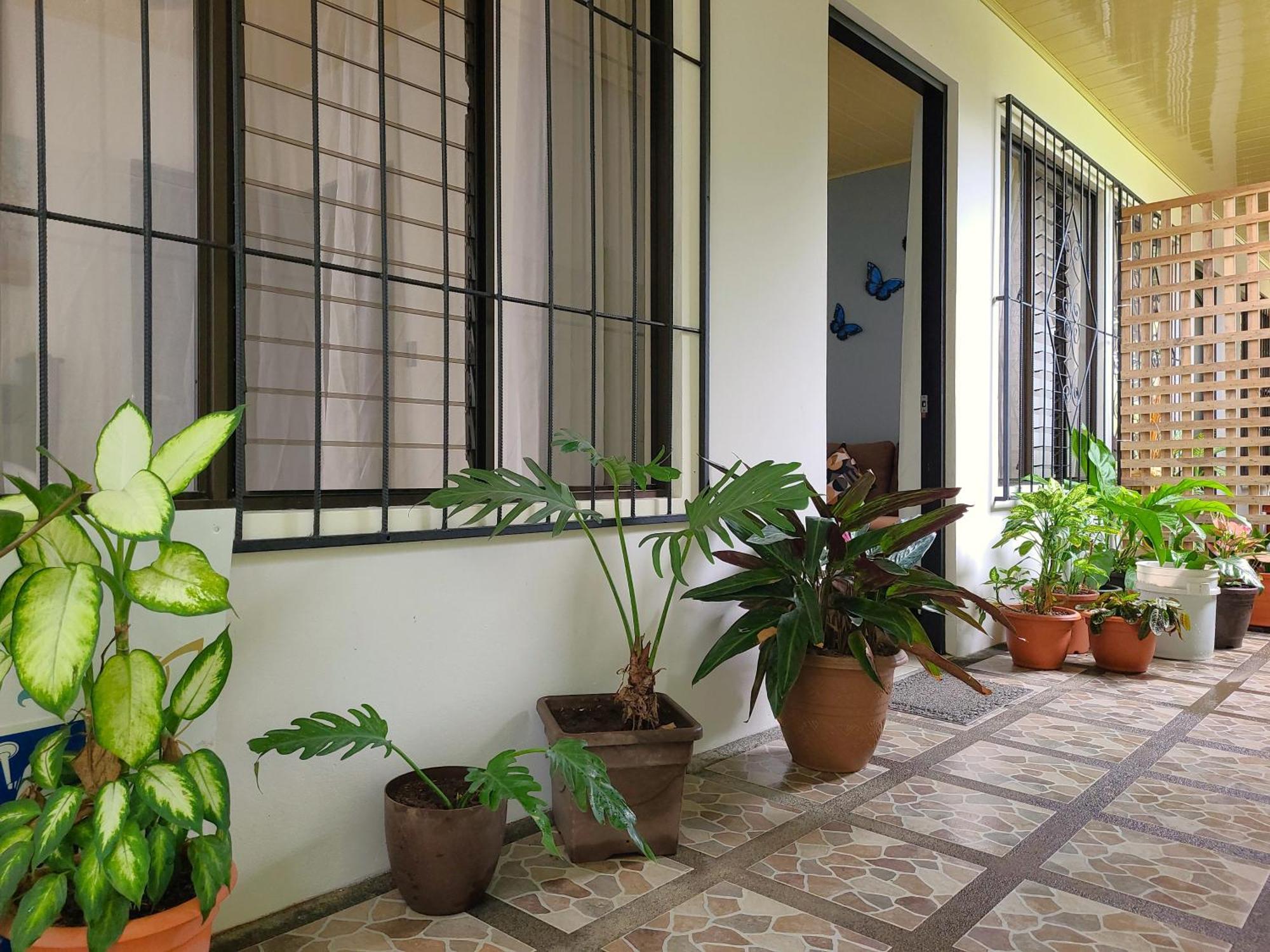 Butterfly Apartments La Fortuna Esterno foto