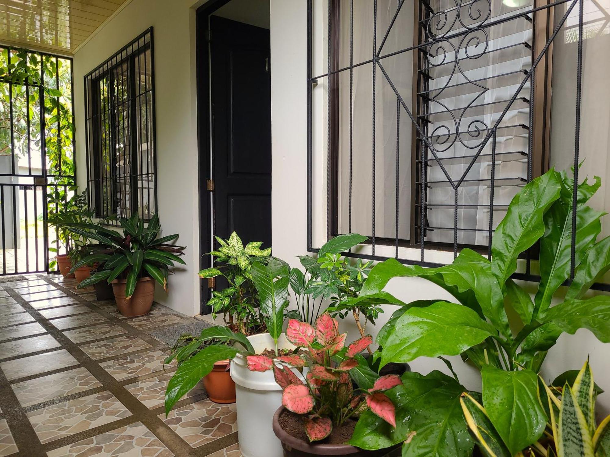 Butterfly Apartments La Fortuna Esterno foto